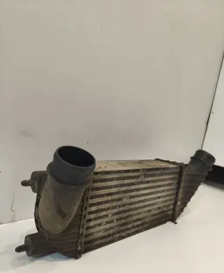 Citroen Jumpy Intercooler radiator 99000038 8ML376746361