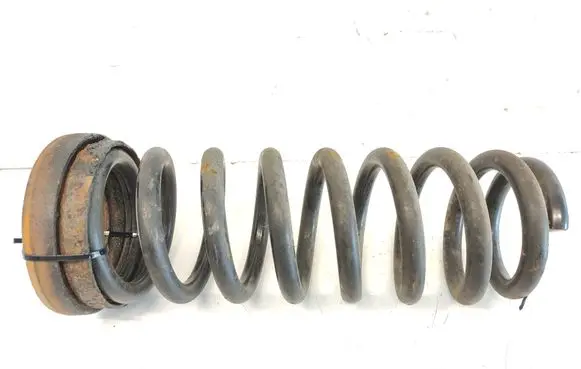 Rear coil spring
