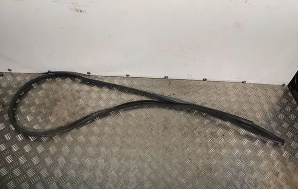 Toyota C-HR I Front door rubber seal CHRGUMA