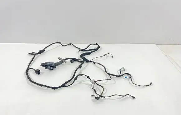 BMW 5 F10 F11 Front door wiring loom 9147281 9128915 9312731