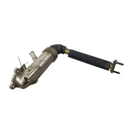 Hyundai H-1, Starex, Satellite EGR valve cooler