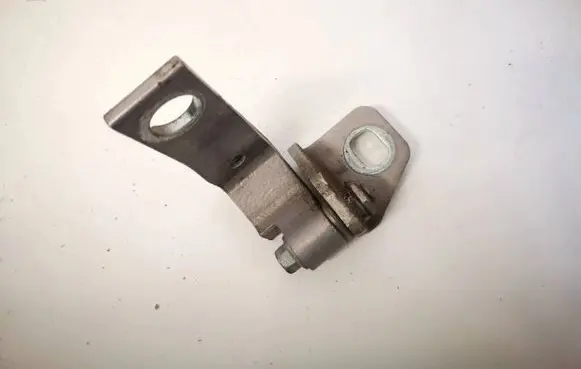Rear door lower hinge