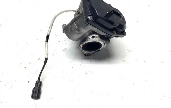 EGR valve