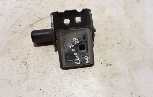 Renault Clio III Front door lower hinge 804202350R
