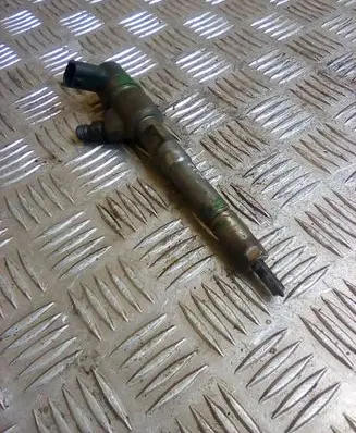 Peugeot Bipper Fuel injector 0445110351