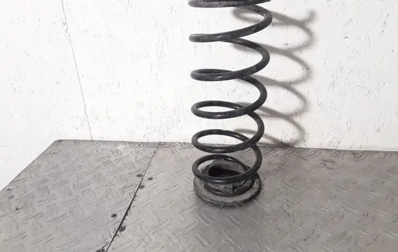 Hyundai i20 (PB PBT) Rear coil spring