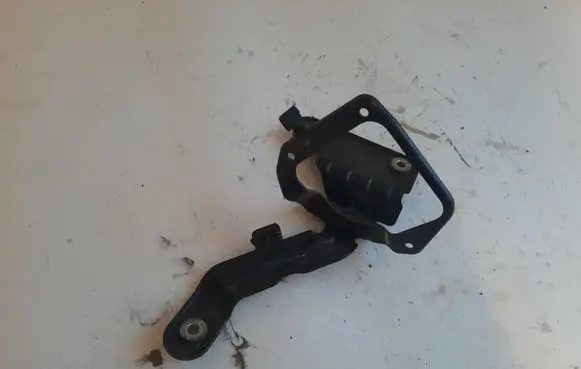 Volkswagen PASSAT CC Holder (bracket) 8J1814119C