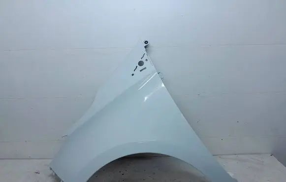 Renault Zoe Fender 631018491R