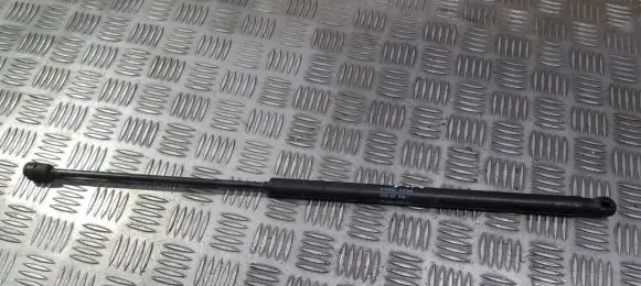 Peugeot 1007 Tailgate/trunk strut/damper 9649587680