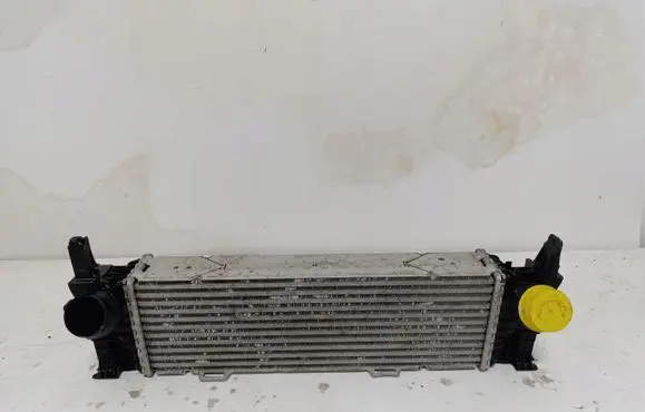 BMW X3 G01 Coolant radiator 8582879BMW