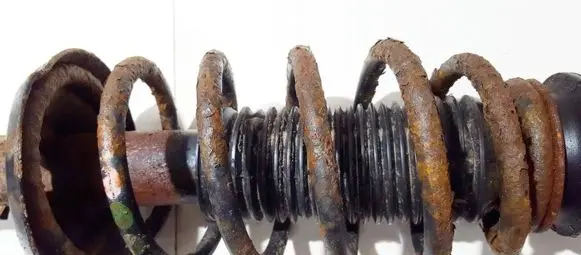 Front coil spring