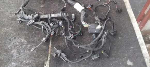 Engine installation wiring loom