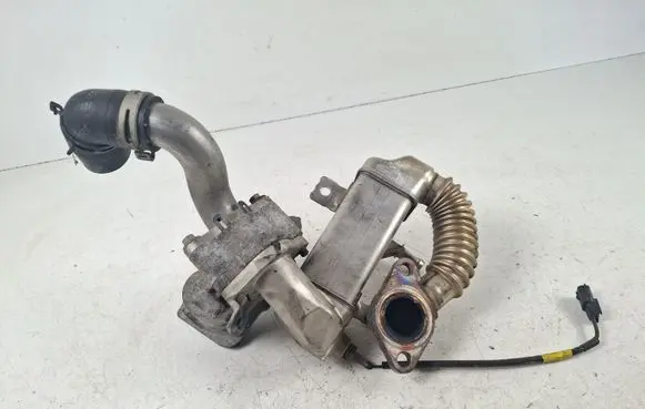 Renault Megane III EGR valve H8201068965