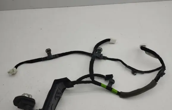 Rear door wiring loom