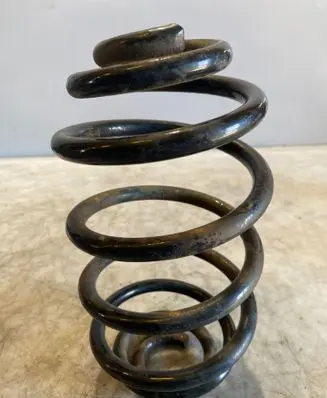 Rear coil spring
