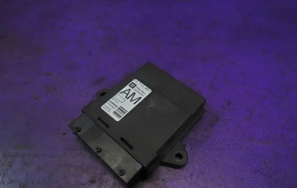 Opel Vectra C Door control unit/module 13111457