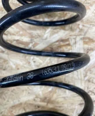 Rear coil spring