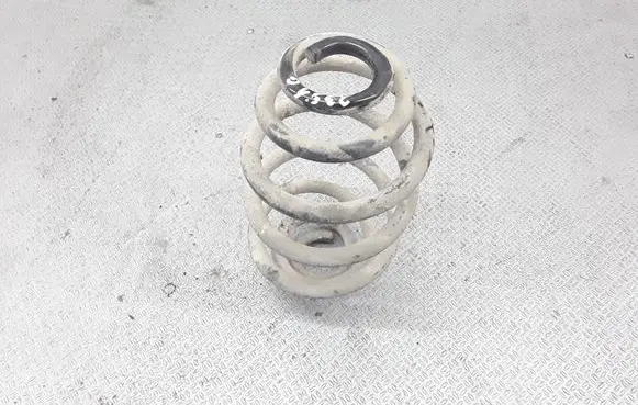 Volkswagen PASSAT B5.5 Rear coil spring