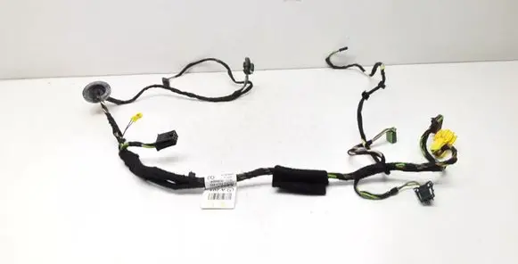 Front door wiring loom