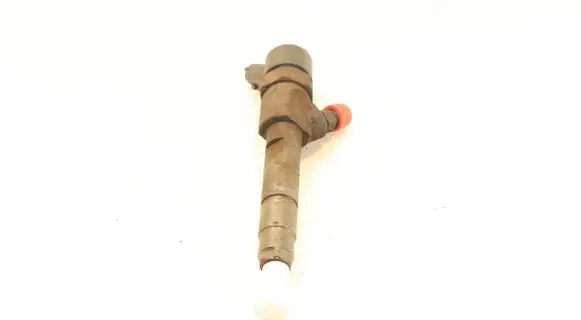 Renault Megane II Fuel injector