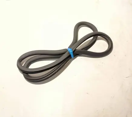 Rear door rubber seal (on body)