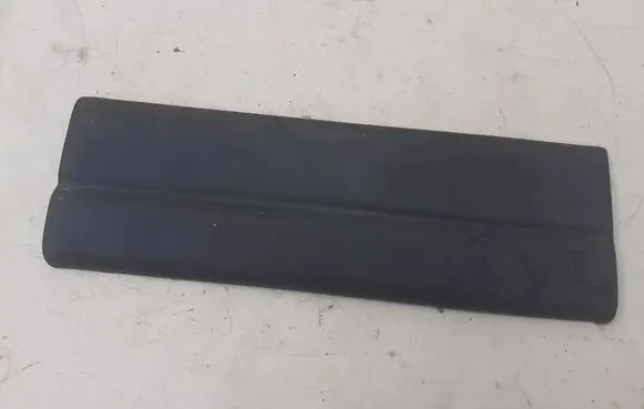 Renault Mascott Rear door trim (molding) 7700352129