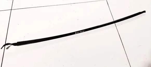 Volkswagen PASSAT B5.5 Windshield trim 