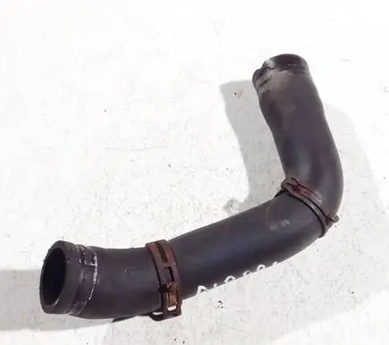 Opel Signum Engine coolant pipe/hose