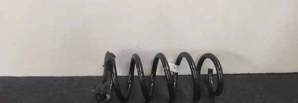 Rear coil spring