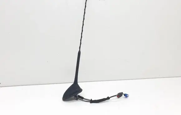 Ford Focus Radio antenna