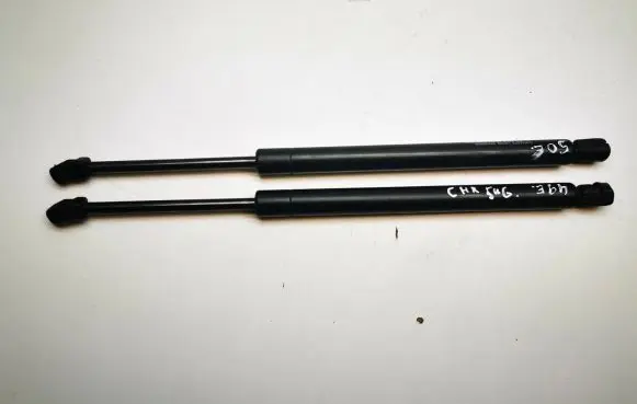 Chrysler 300 - 300C Tailgate/trunk strut/damper 04589626AA