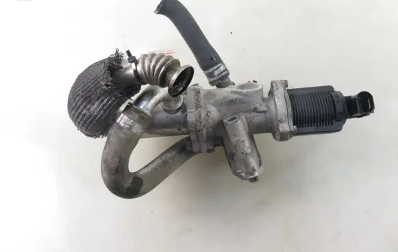 Suzuki Swift I EGR valve 55197846 53446103