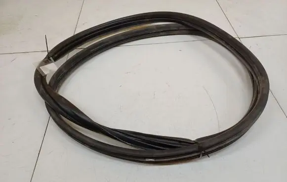 Renault Clio III Rubber seal front coupe door