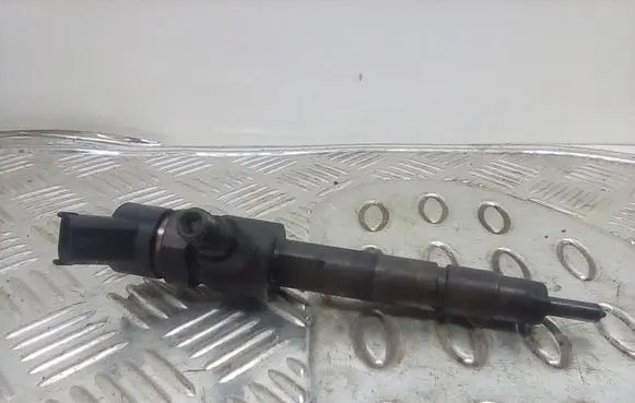 Fiat Stilo Fuel injector 0445110119