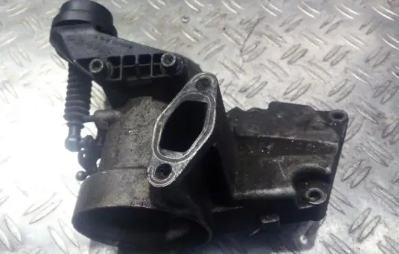 Mercedes-Benz C W202 Throttle valve 6010980317