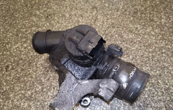 Peugeot Expert Throttle valve 9660030580