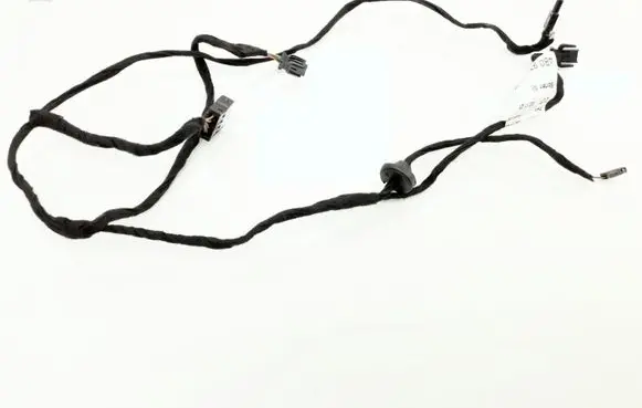 Front door wiring loom