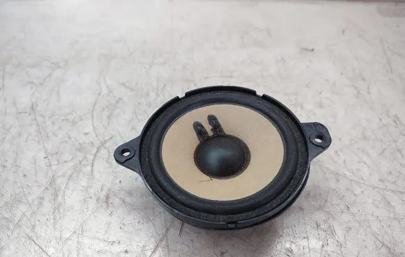 Panel speaker