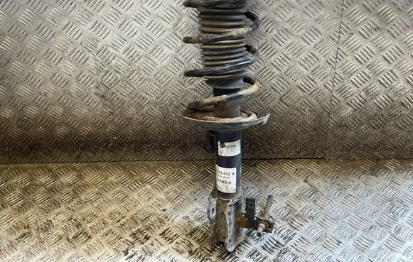 Opel Signum Front shock absorber with coil spring 312612