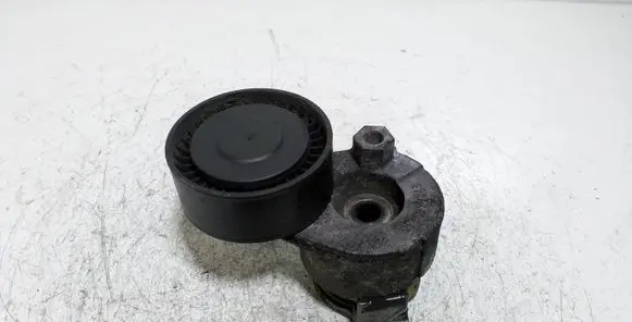 Nissan Qashqai Alternator belt tensioner 8200460446