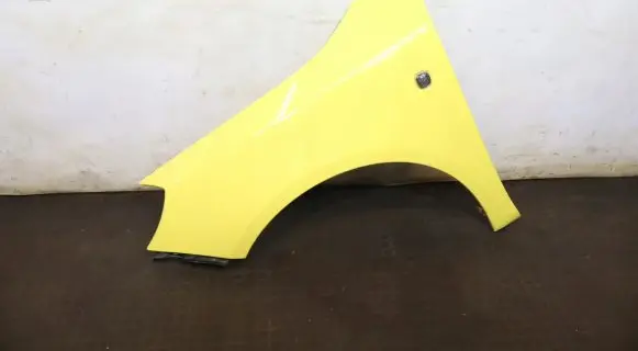 Skoda Fabia Mk2 (5J) Fender