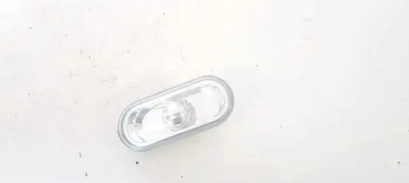 Front fender indicator light