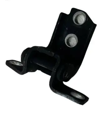 Rear door lower hinge