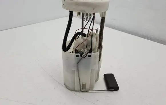 Volkswagen Up In-tank fuel pump 1S0919051C 0580200209