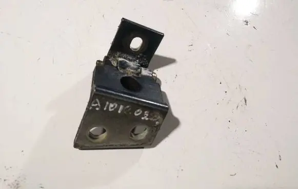 Fiat Punto (188) Rear door lower hinge