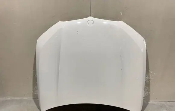 Engine bonnet/hood