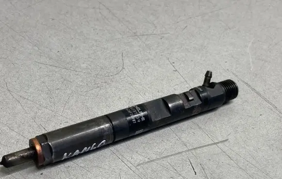 Renault Kangoo II Fuel injector 166000897R 28237259