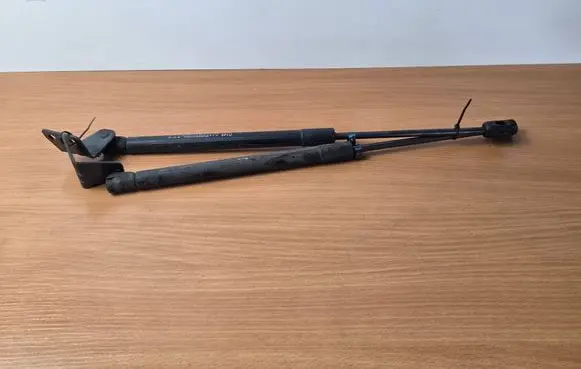 Opel Antara Front bonnet/hood damper/strut 95917197 05532220813