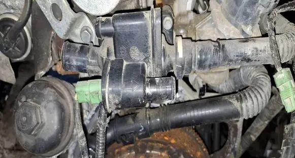Ford Fiesta Engine coolant pipe/hose 