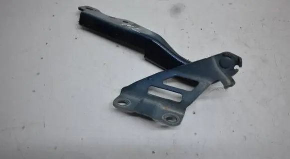 Engine bonnet/hood hinges